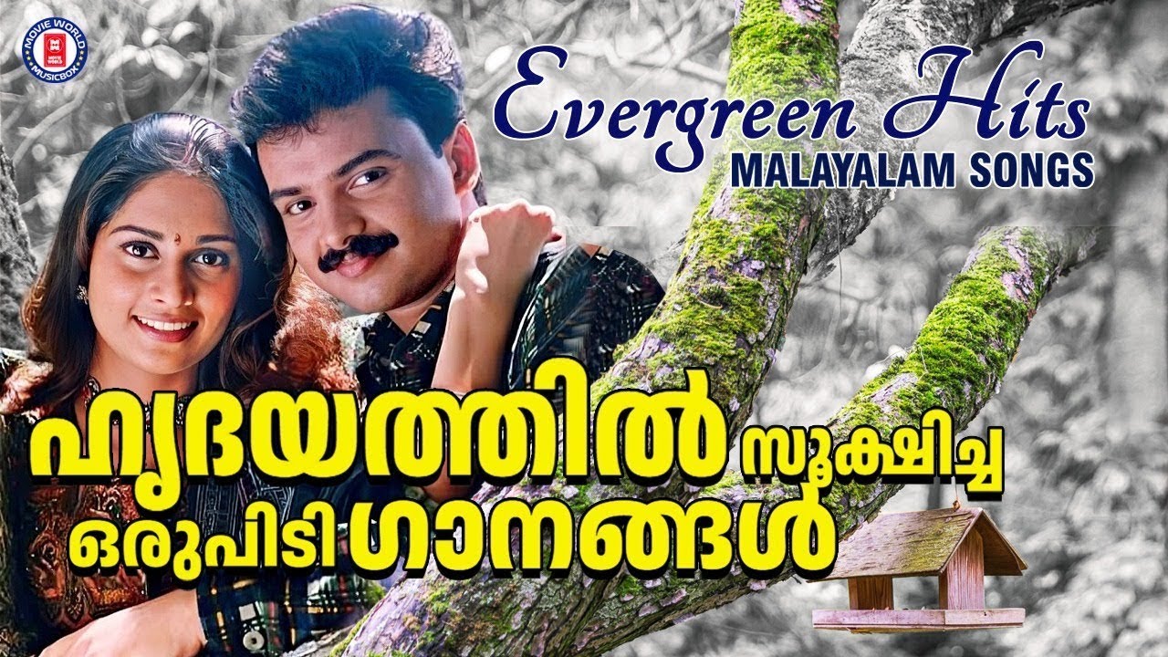 ഹൃദയം കവർന്ന ഒരു പിടി സിനിമാഗാനങ്ങൾ 💖 | EVERGREEN FILM SONGS MALAYALAM @MovieWorldMusicbox 
