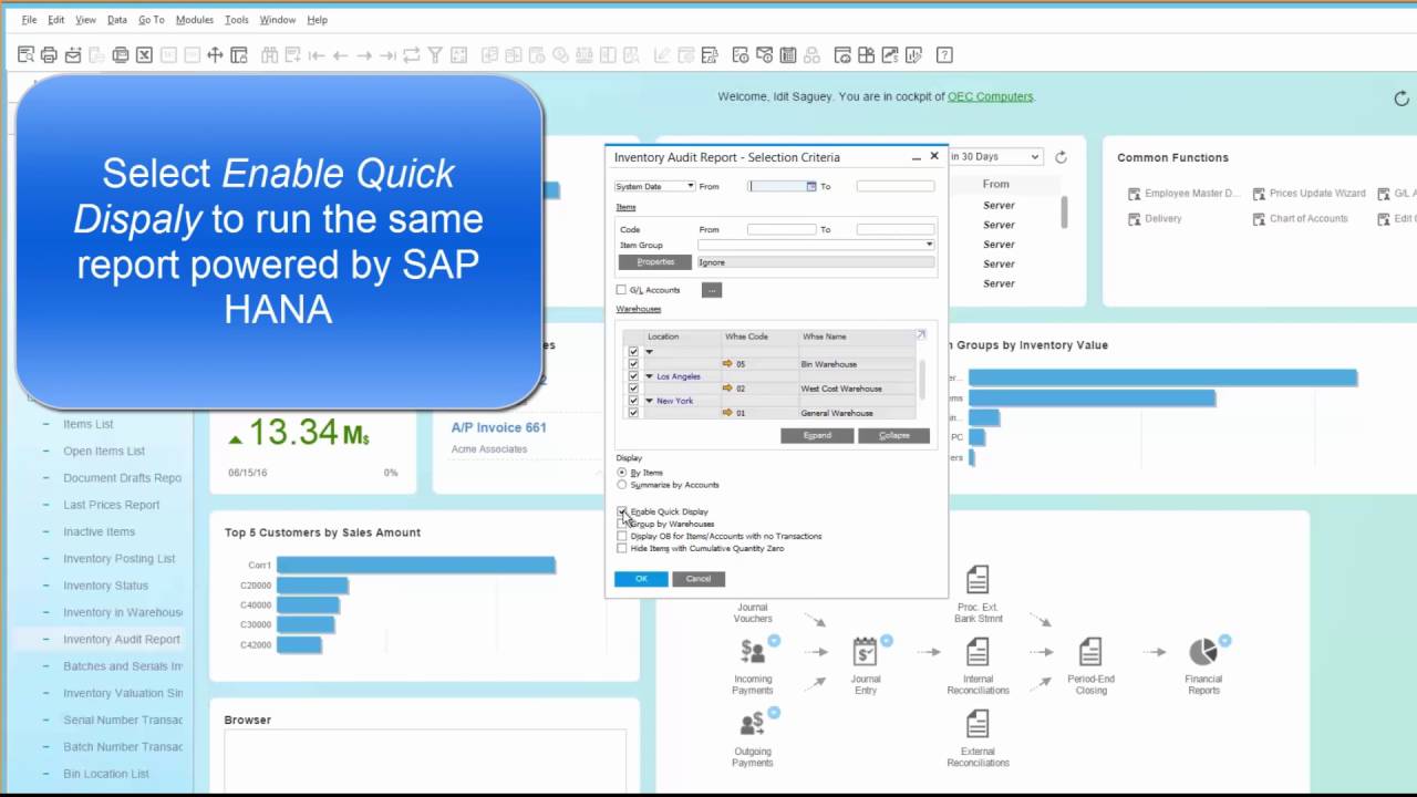 Inventory Audit Report powered by SAP HANA YouTube