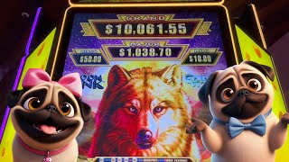 NEW GAME! Moon Link Golden Wolf Slot Machine | Gambling Pugs screenshot 1