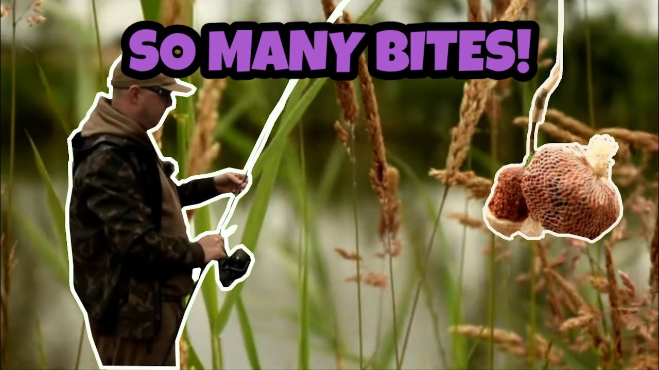 **Carp Fishing** Runs water at Kathleen's Lake, Doncaster Testing a