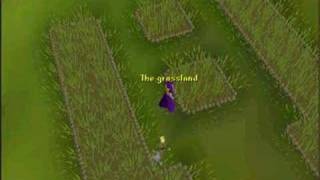 Randomscape Episode 1
