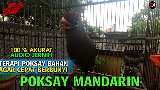 Download Lagu BIKIN POKSAY MANDARIN GACOR LUAR BIASA, PANCINGAN BIKIN POKSAY GACOR, DIJAMIN 3 MENIT PASTI NYAUT! MP3