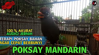 BIKIN POKSAY MANDARIN GACOR LUAR BIASA, PANCINGAN BIKIN POKSAY GACOR, DIJAMIN 3 MENIT PASTI NYAUT!