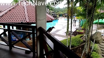 ASUS PadFone S Slow motion video @ TechNave.com