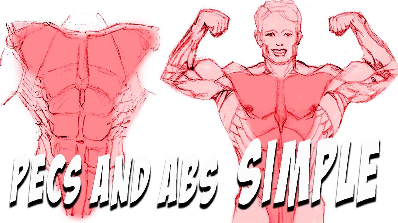 Draw Pec Rbt How to Draw Pecs and Abs Using One Simple Shape - YouTube