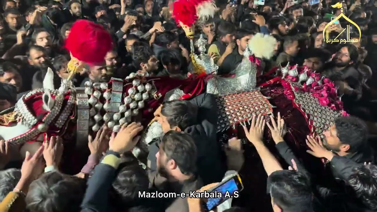 28 Rajab 2025 | Baramdagi Zuljanah Imamia Colony Lahore 