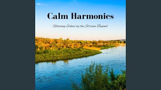 Echoes of Peaceful Flow