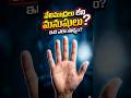 వేలిముద్రలు లేని మనుషులు ఉన్నారా?! 🤯 #shorts #fact #manafacts #ytshorts