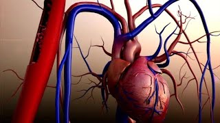 OPEN HEART SURGERY free online game on Miniplay screenshot 5