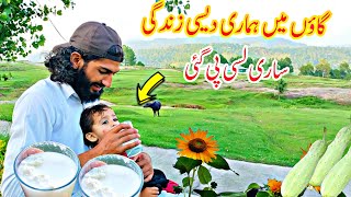 Sari Li Pee Gai Desi Village Life In Kashmir