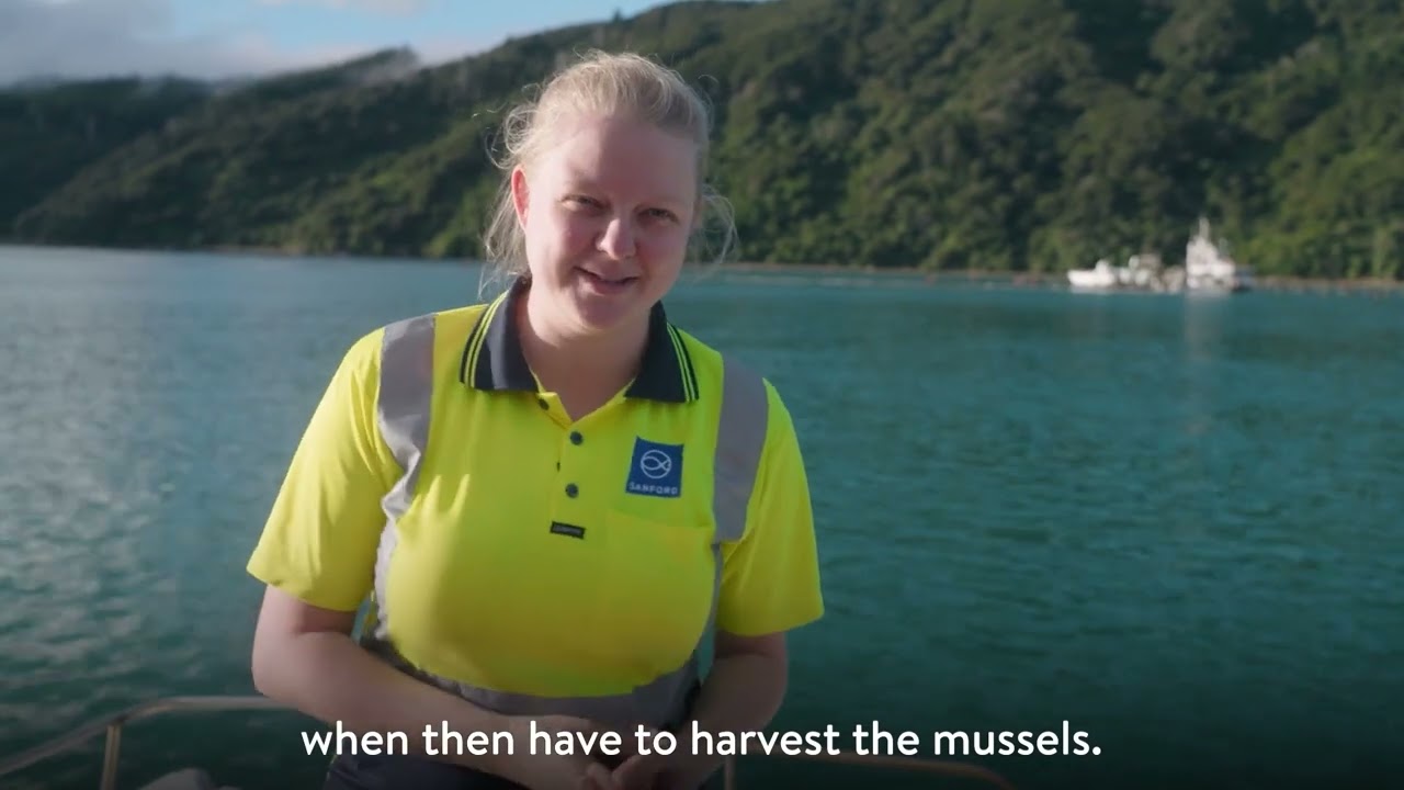 Outline Video Sanford Mussel Spat to Powder