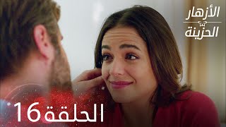 الأزهار الحزينة | الحلقة 16 كاملة   | Kırgın Çiçekler