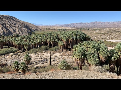 Beautiful Hilltop View of the 1,000 Palms Oasis, Coachella Valley, California