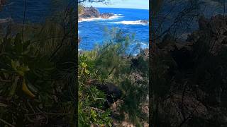 East Coast of Hawaii watch the waves and listening to the Pacific Ocean outdoors hawaii nature