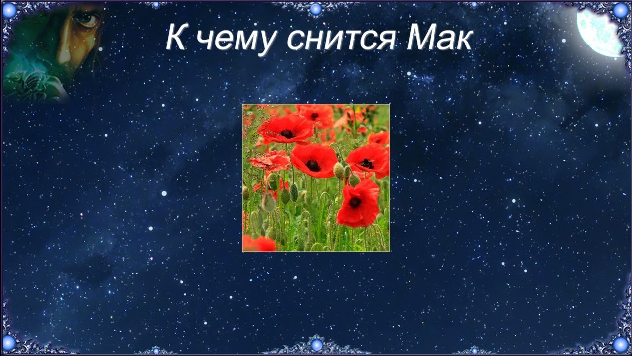 К чему снится Мак (Сонник)