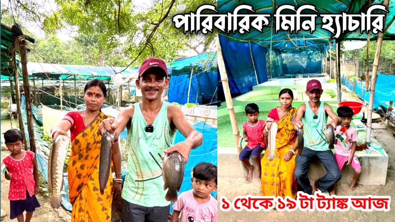 মাছ চাষে লাভ নিশ্চিত করতে হলে এভাবেই নিজের প্রয়োজনের চারাটুকু নিজে তৈরি করে নিন 👍👍