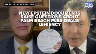 New Epstein documents raise questions about Palm Beach plea deal's leniency