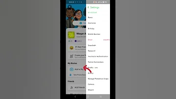 Snapchat Video Not Working 