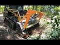 BOB AND WEAVE! UNDERBRUSHING A CONGESTED PINE STAND FOR FUTURE HOME!