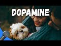 This Is What Digital Dopamine Does To You 