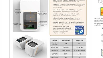 Multiplexed cell-based assays for evaluating the structure and function of excitable cells