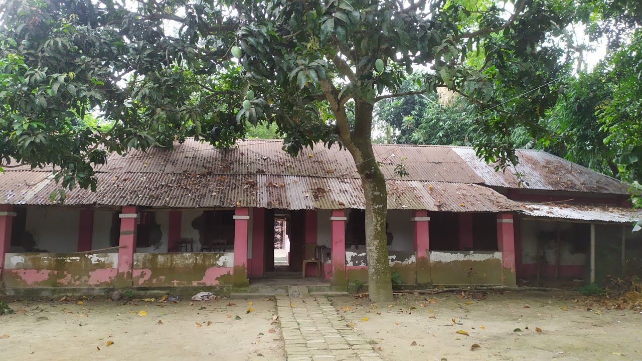 নানার বাড়ির উঠান | কয়লাবাড়ি গ্রাম মান্দা নওগাঁ 