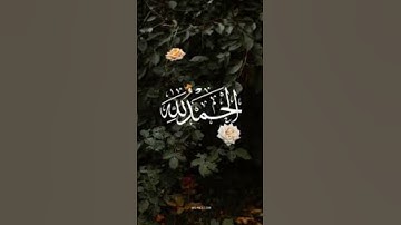 سوره الكافرون بصوت جميل