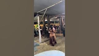 Nunu Cover (IMANUELA😎)