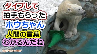 Hochan, who dived and received applause, understands  human language [Tennoji Zoo]