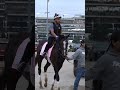 COUNTING STARS Sparkles on The Track