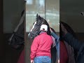 COUNTING STARS Sparkles on The Track