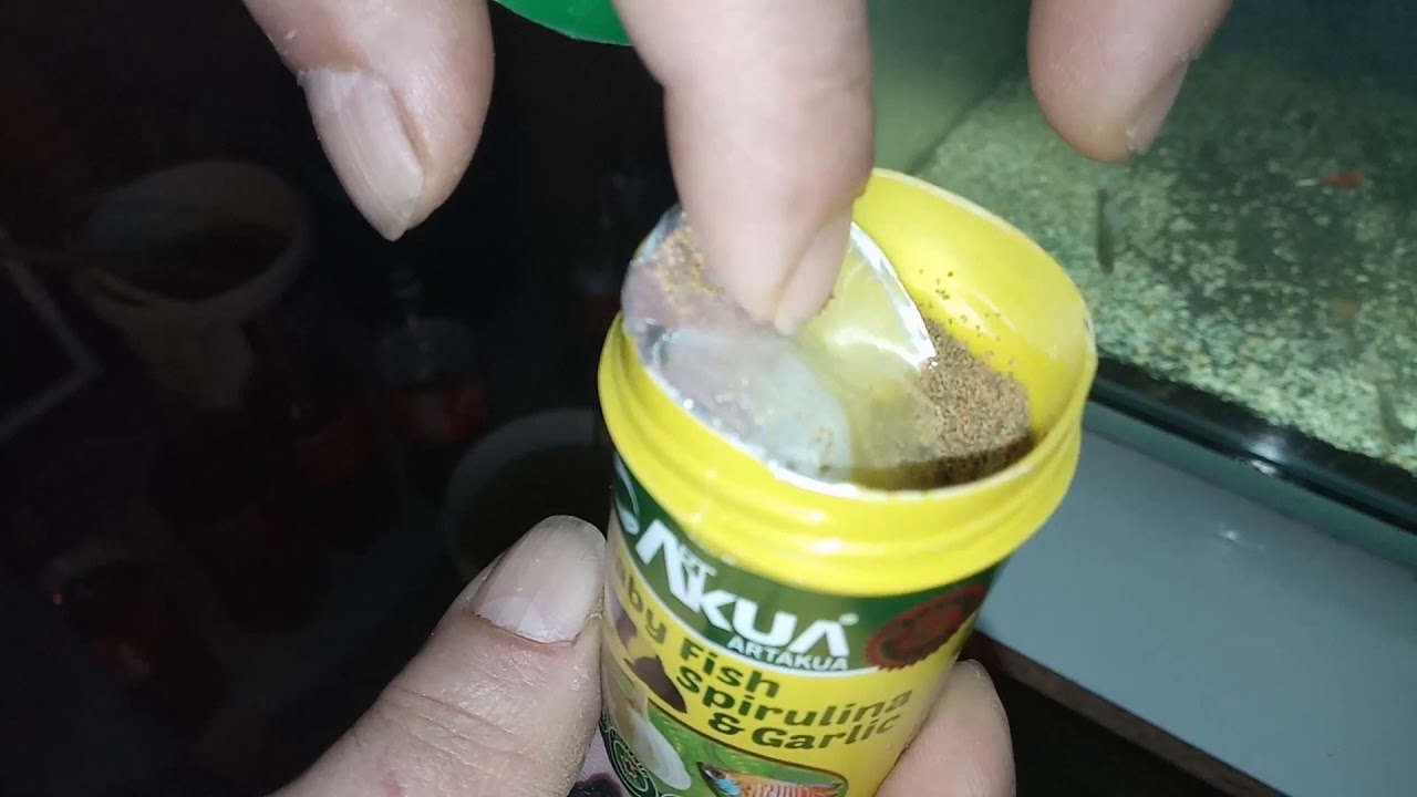 Lepistes  balıklarımıza iç parazit tedavisi uyguladık