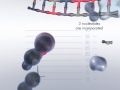 The Pyrosequencing Reaction Cascade System