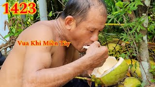 Vua Khỉ Miền Tây vừa ăn vừa kể chuyện khi đã cưa xong hai cây Dừa Cutting coconut trees