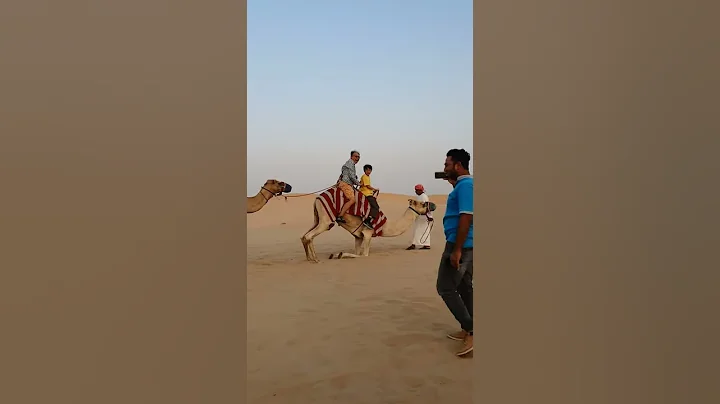How not to get off a camel