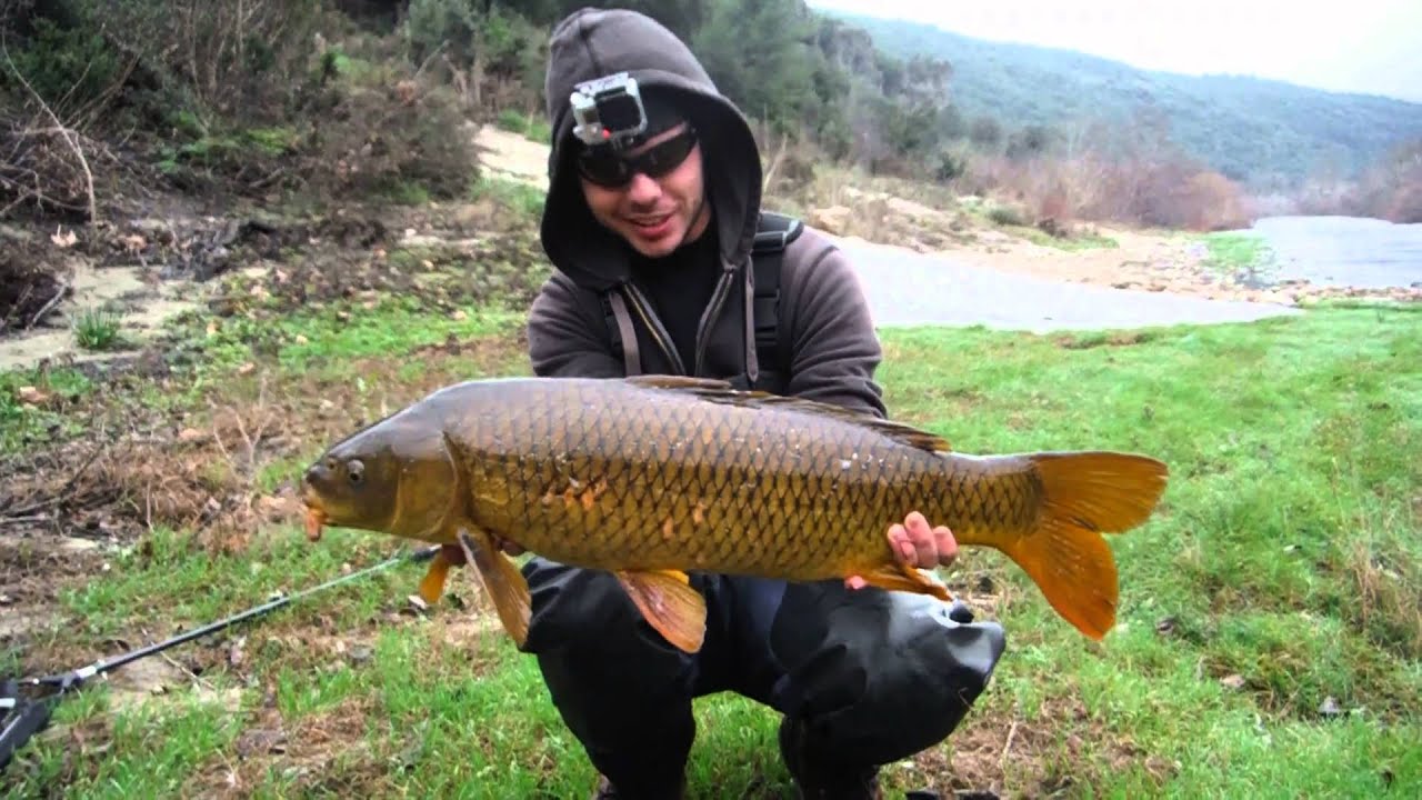 Tout sur la pêche pour les débutants