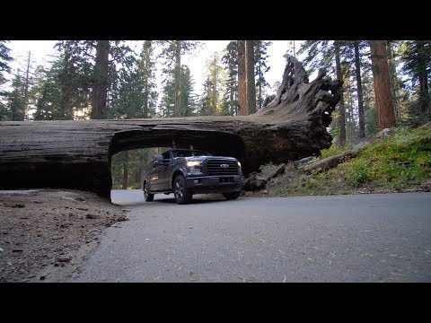 Vidéo: Les plus belles cascades de Californie