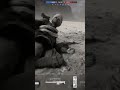 علمتهم كيف القنص في #battlefield #battlefield1 #باتلفيلد #باتلفيلد1
