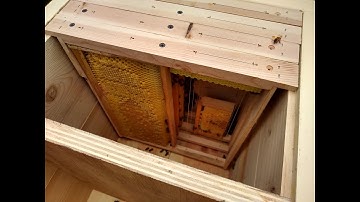 Langstroth to Layens Hive Conversion