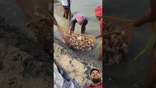 debhri fish farming 🧺