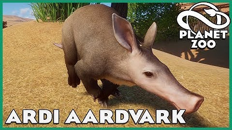 Aardvark Habitats! Planet Zoo: Zoo Spotlight 25
