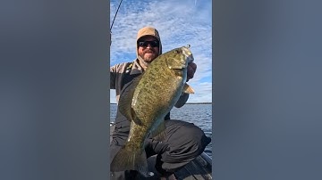 😎 This Little Bait Catches Bass When They Don