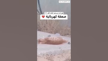 كفى بنفسك اليوم عليك حسيبا 💔😓 #short #quran #القارئ_عبدالله_علي قرآن كريم تلاوة خاشعة تريح القلب 🤍