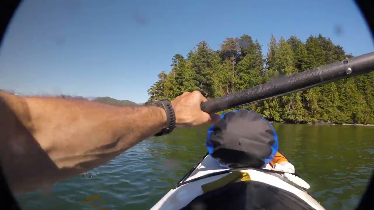 Meares Island Kayaking Tour