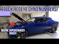 HELLCAT REDEYE ON THE DYNO! THIS SUPERCHARGER SCREAMS!