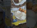 జీడి మామిడి తోటలో మా కష్టం చూడండి #shorts #shortsfeed #villagerlifestyle #hardwork #cashew #trending
