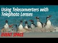 Using teleconverters with telephoto lenses with arthur morris