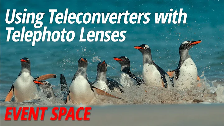 Using Teleconverters with Telephoto Lenses with Ar...