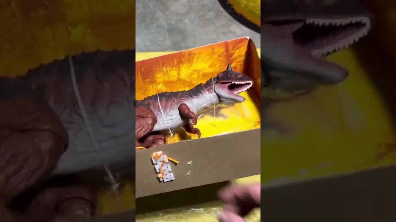 Hammond collection Carnotaurus unboxing & review full video below!👇 