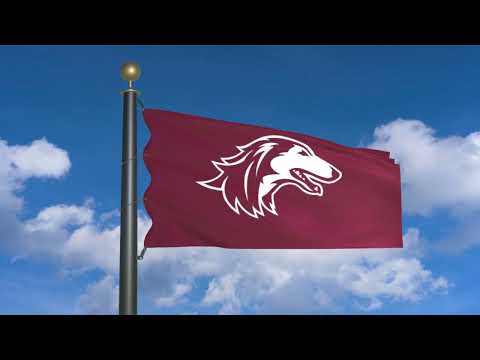 Flag of Southern